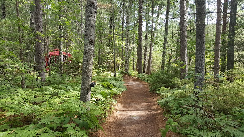 Pine Grove area | 40 Chem. Walker, Grand-Remous, QC J0W 1E0, Canada | Phone: (819) 438-2067