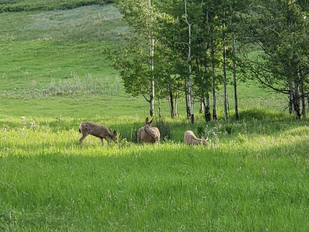 Votiers Flats Fish Creek Park | 13511 Elbow Dr SW, Calgary, AB T2W 2P2, Canada