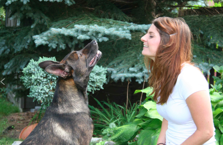 The Polite Pooch | Jonathan St, Uxbridge, ON L9P 1B5, Canada | Phone: (647) 268-3887