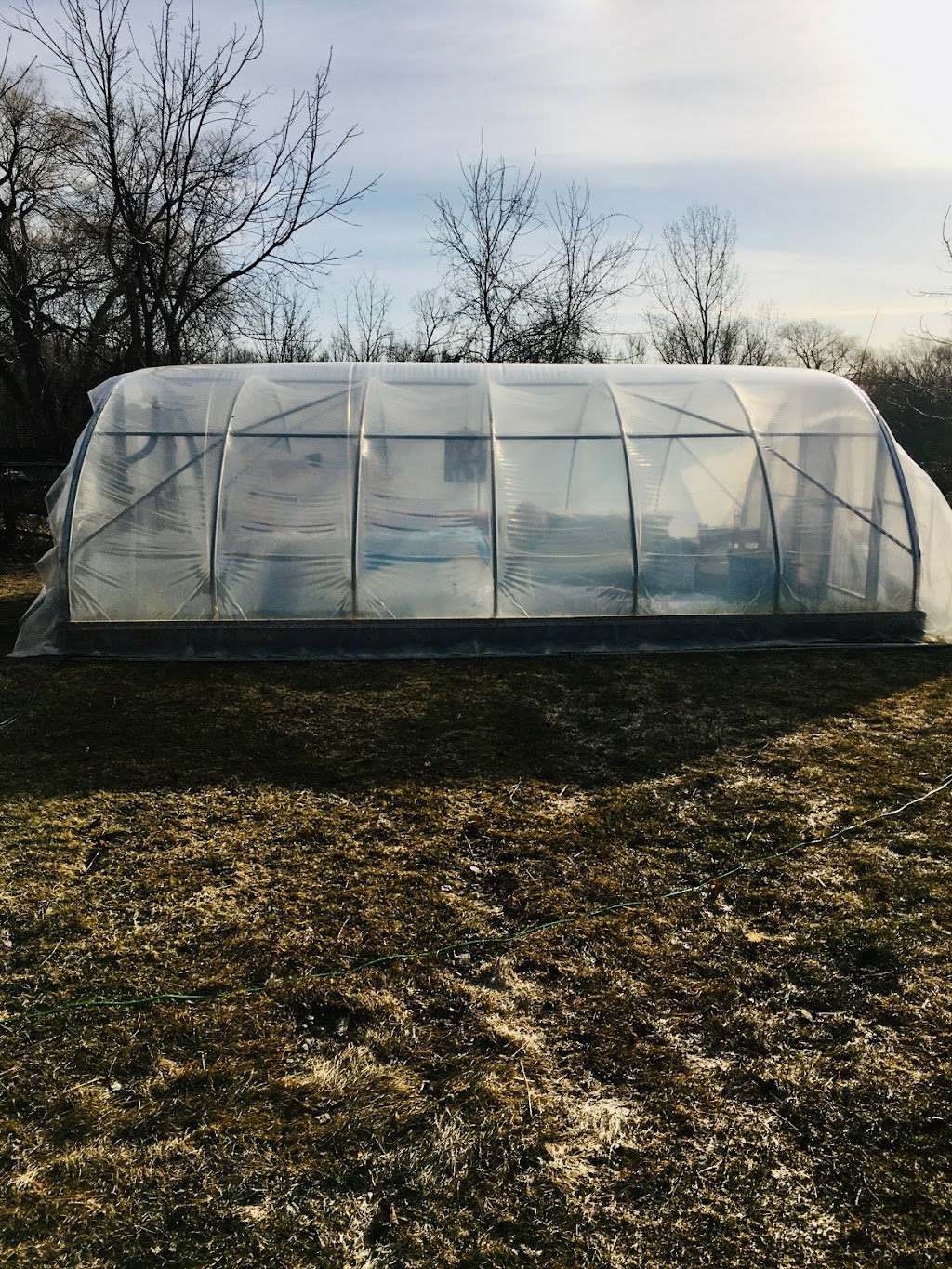 shadowrock nursery | 5781 2ed. line, Schomberg, ON L0G 1T0, Canada | Phone: (705) 330-5649