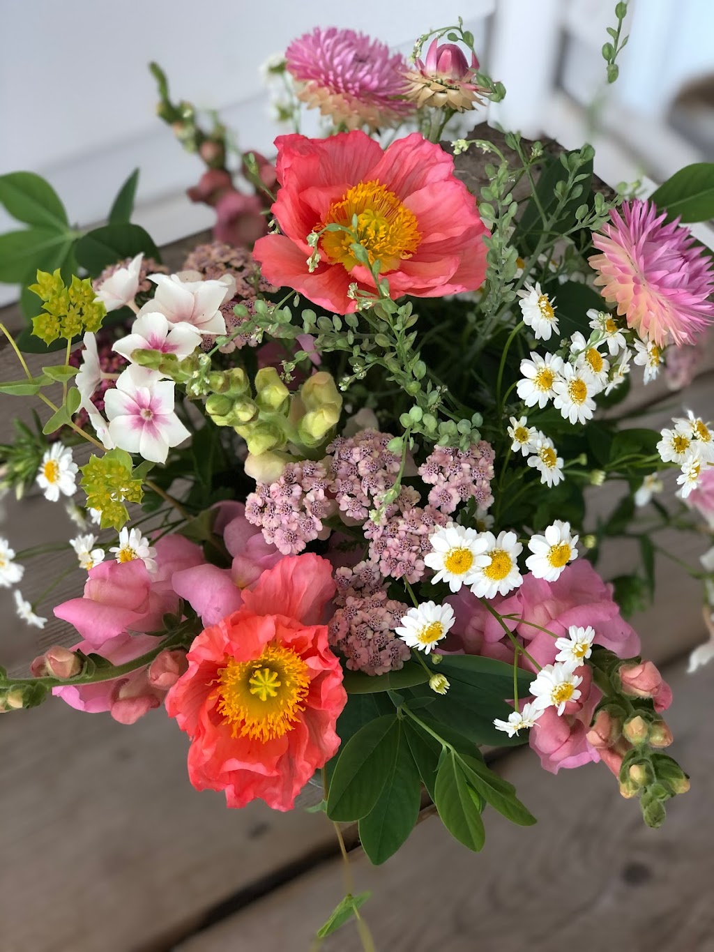 Two Blooms Flower Farm | 31 Gary Rd, Steeves Mountain, NB E1G 0S9, Canada | Phone: (506) 380-1170