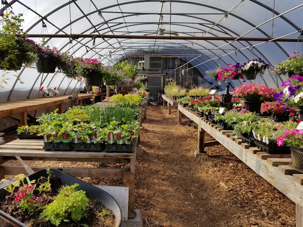 Halfmoon Bay Nursery | 7820 Fawn Rd, Halfmoon Bay, BC V0N 1Y1, Canada | Phone: (604) 885-2760