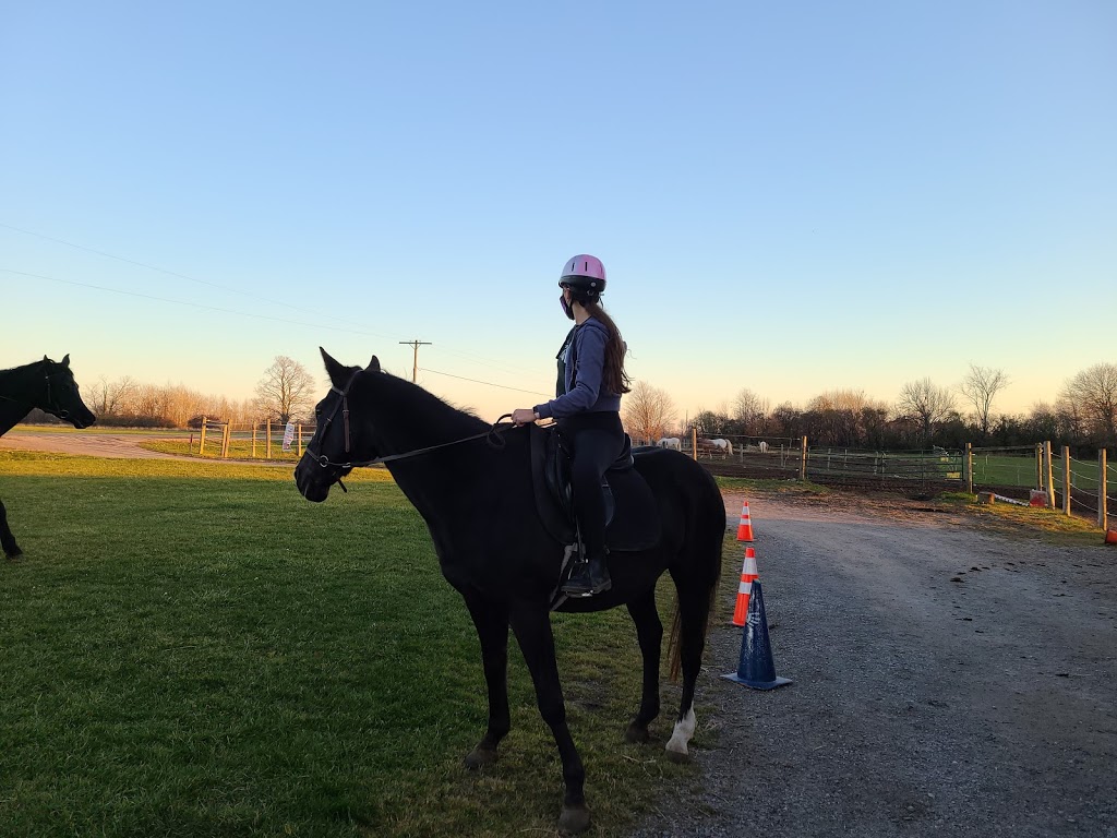 Heartland Equestrian | 9570 Duffs Rd, Ashburn, ON L0B 1A0, Canada | Phone: (905) 655-8968