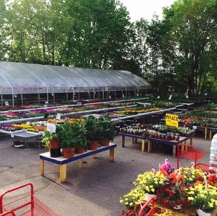 Les Serres Lahaie | 420 2e Avenue, Saint-Jean-sur-Richelieu, QC J2X 2B7, Canada | Phone: (514) 444-6857