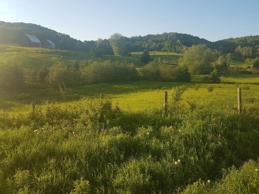 Centre de vie | 14 Chemin du Petit 5 Rang, Ripon, QC J0V 1V0, Canada | Phone: (819) 428-2215