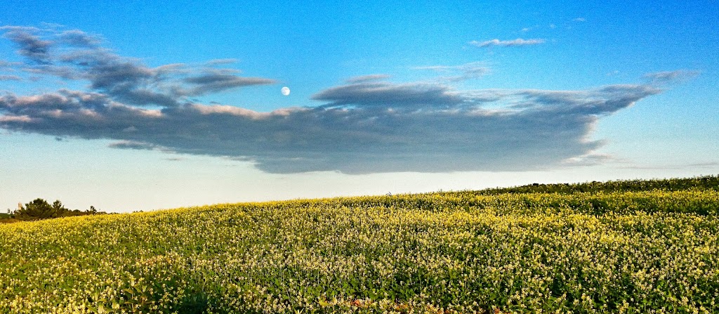 Garden Hill Conservation Area | Ganaraska Road 9, Port Hope, ON L0A 1B0, Canada | Phone: (905) 885-8173