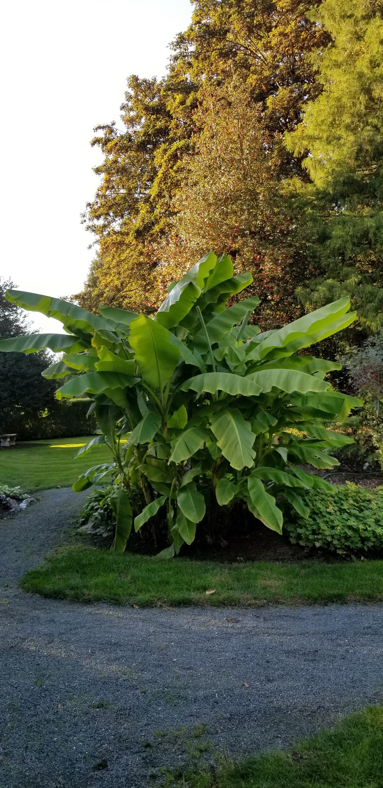 Gwynne Vaughan Park | 46181 Hope River Road, Chilliwack, BC V2P 7V5, Canada