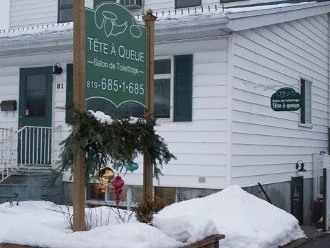 OBrien House Bed & Breakfast | 39 Glenaire Mews, Kingston, ON K7M 7L3, Canada | Phone: (613) 542-8660