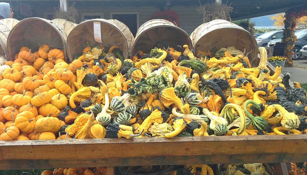 Fernwood Farms & Market | 7865 ON-26, Stayner, ON L0M 1S0, Canada | Phone: (705) 428-3171