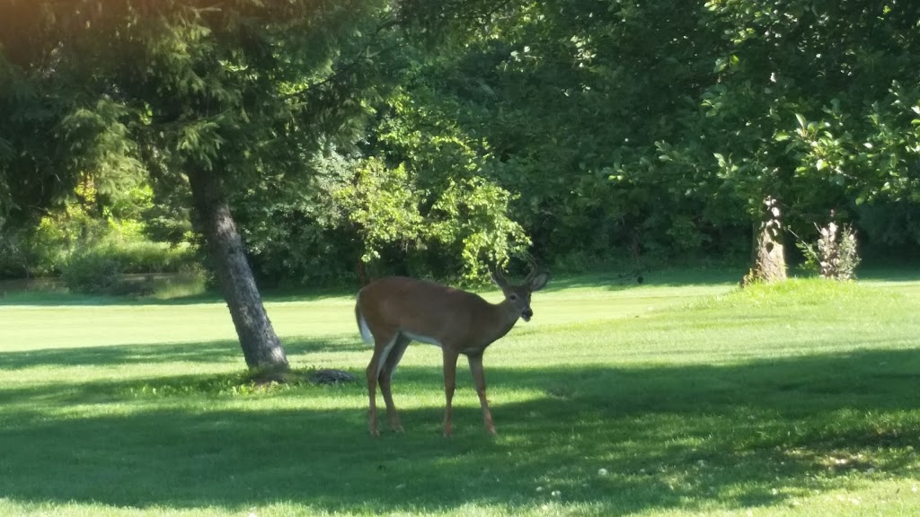Hickory Ridge Golf and Country Club | 3425 Woodhull Rd, London, ON N6P 1P2, Canada | Phone: (519) 652-0407
