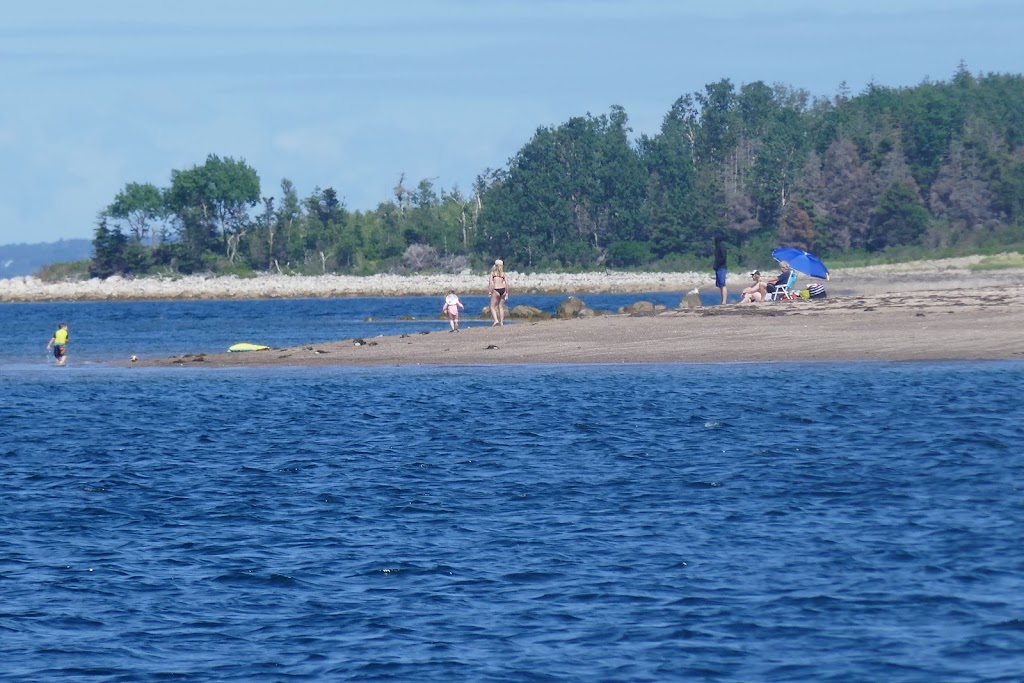 Sail and See, a sailing experience | 683 Main St, Mahone Bay, NS B0J 2E0, Canada | Phone: (902) 541-0399