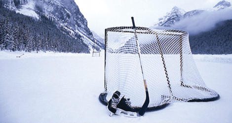 Perfect Hockey | 18 Park Ridge Crescent NW, Edmonton, AB T6P 1E9, Canada | Phone: (780) 231-1040
