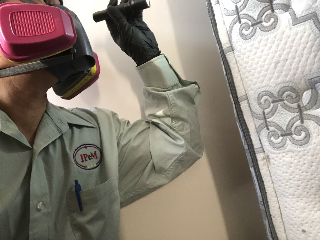 IPeM Integrated Pest & Environmental Management | 5319 3 St SE #718, Calgary, AB T2H 1J7, Canada | Phone: (587) 470-4558