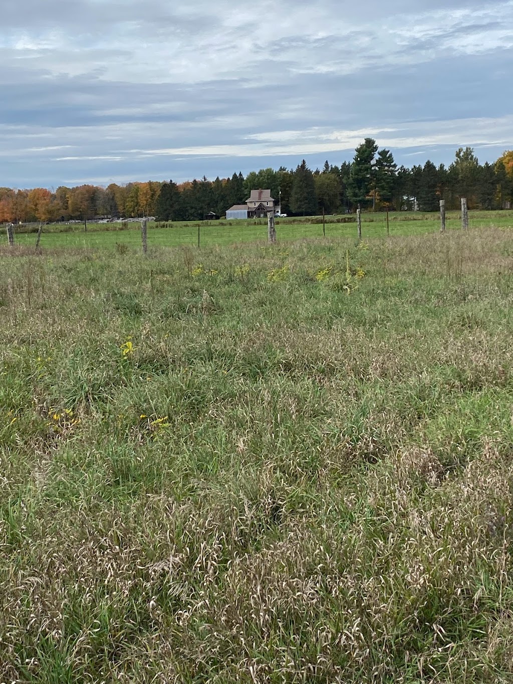 Independent Remote Ltd. / Télécommande Indépendante Ltée. | 3, 200 Memorial Ave Suite 302, Orillia, ON L3V 5X6, Canada | Phone: (705) 710-9711