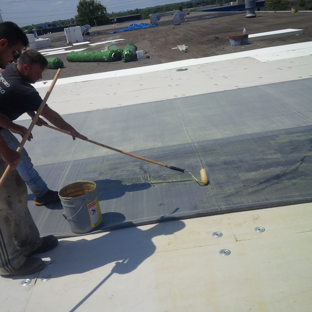 Dryhome Waterproofing & Flat Roofing Oshawa | 319 College Ave, Oshawa, ON L1J 1S2, Canada | Phone: (905) 260-1905