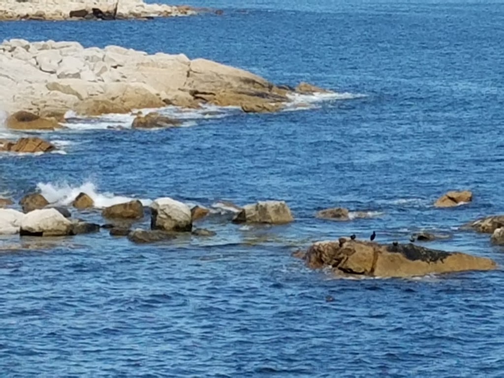 Herring Cove Provincial Park Reserve | 34 Shore Rd, Herring Cove, NS B3V 1G7, Canada