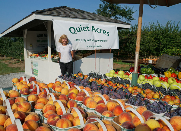 Quiet Acres | 672 Lakeshore Rd, Niagara-on-the-Lake, ON L0S 1J0, Canada | Phone: (905) 651-4232