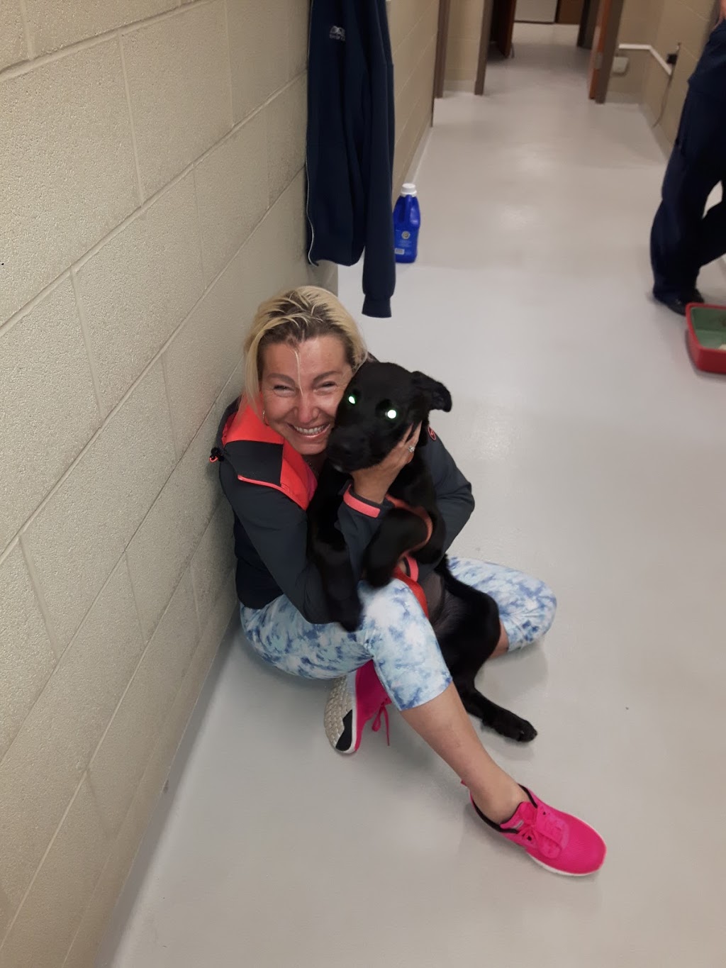 Caledon Animal Shelter | 12889 Coleraine Dr, Bolton, ON L7E 3B5, Canada | Phone: (905) 584-2272 ext. 4698