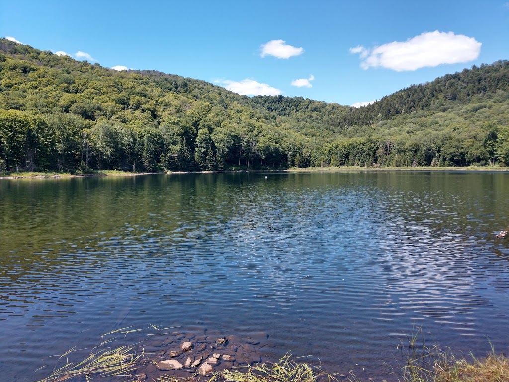Devils Gulch | Long Trail, Eden, VT 05652, USA