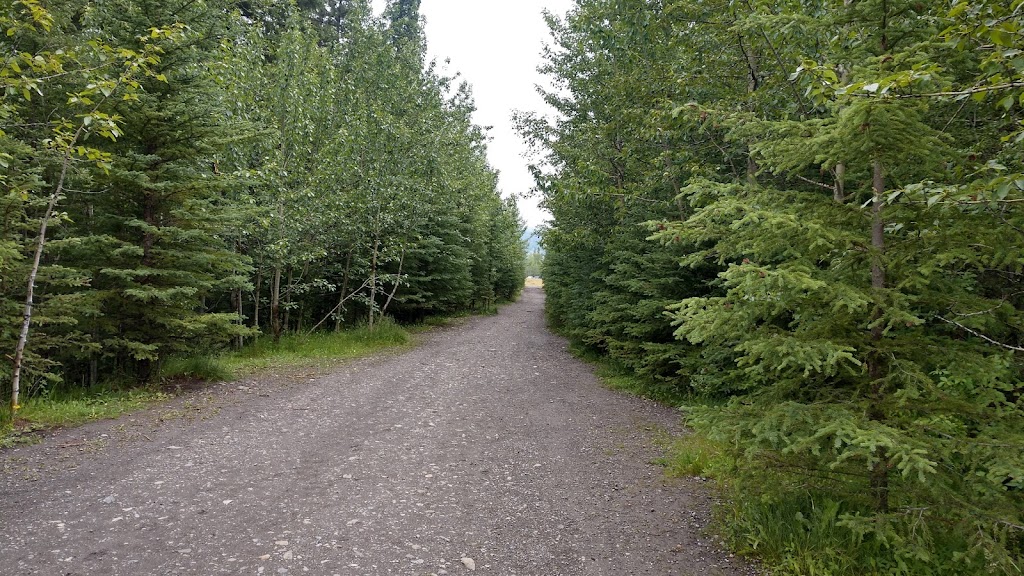 Quarry Lake Park | Spray Lakes Rd, Canmore, AB T1W 3C2, Canada | Phone: (403) 678-1500