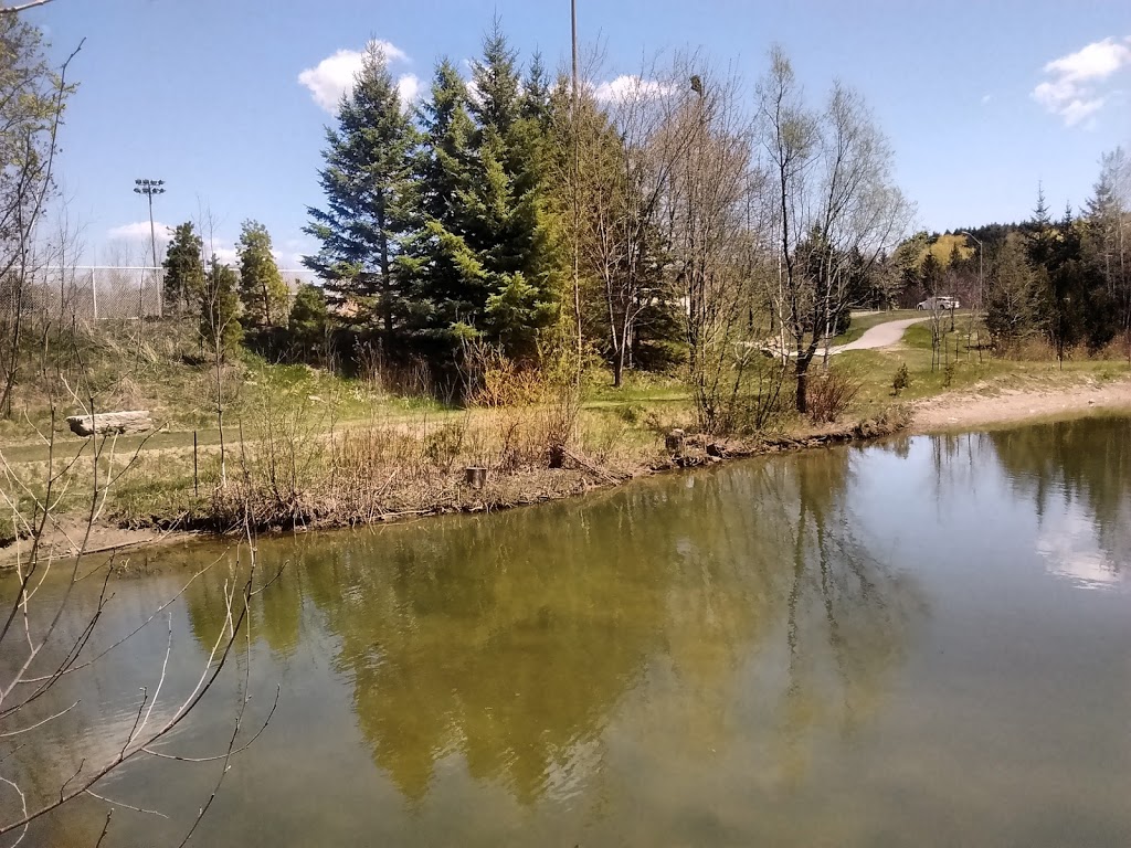 Harding Park | 300 Cedar Ave, Richmond Hill, ON L4C 2B4, Canada | Phone: (905) 771-8870