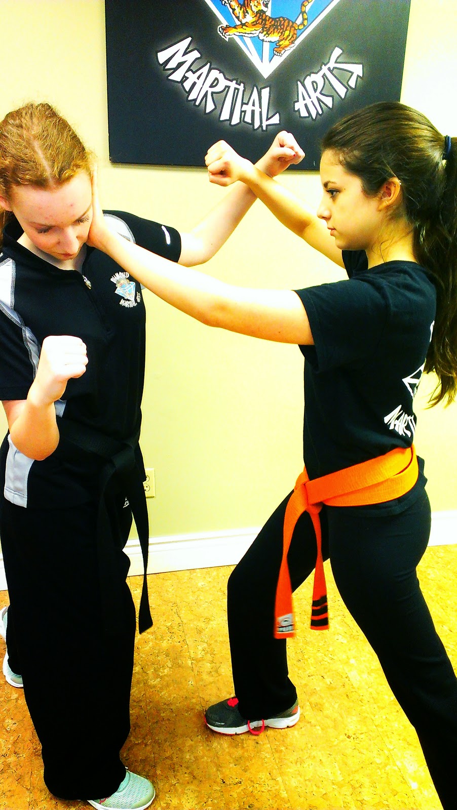 Diamond Martial Arts | 1733 Industrial Rd, Cambridge, ON N3H 5G7, Canada | Phone: (519) 897-0832