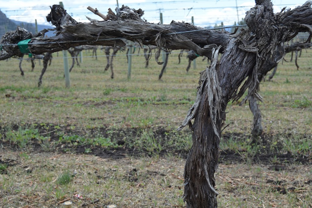 Desert Hills Estate Winery | 4078 Black Sage Rd, Oliver, BC V0H 1T0, Canada | Phone: (250) 498-6664