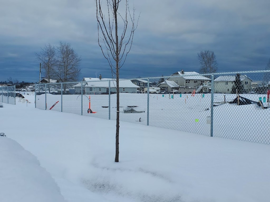 PAC Bridge International Inc. | 8214 211A St, Langley Twp, BC V2Y 0E4, Canada | Phone: (604) 318-7240