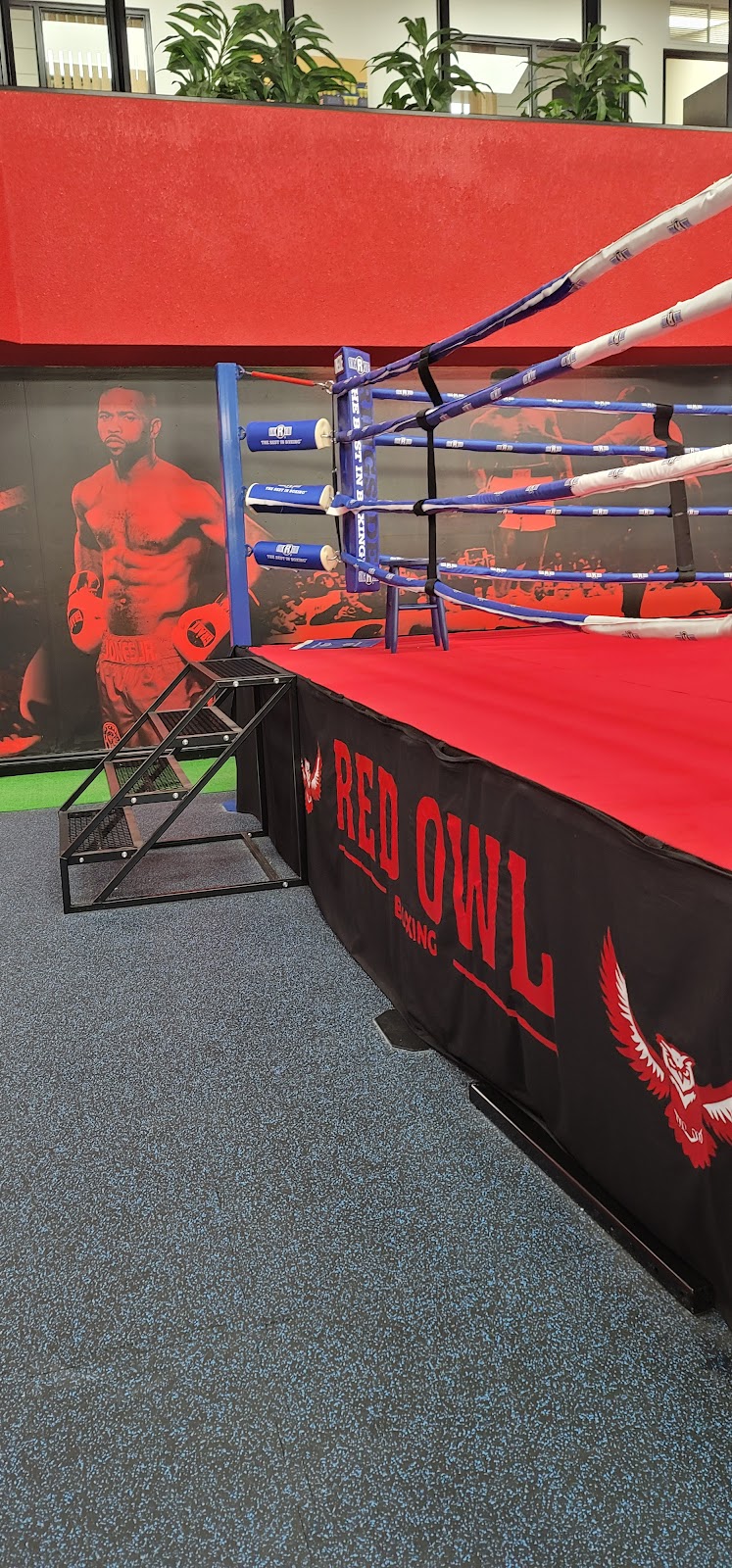 Red Owl Boxing | gym | 952 Century Dr, Burlington, ON L7L 5P2, Canada | 8776780367 OR +1 877-678-0367