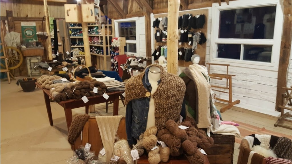 Ferme fibres & compagnie - Les alpagas dAldo | 375 Rang St Charles E, Saint-Alexandre-de-Kamouraska, QC G0L 2G0, Canada | Phone: (418) 495-5375