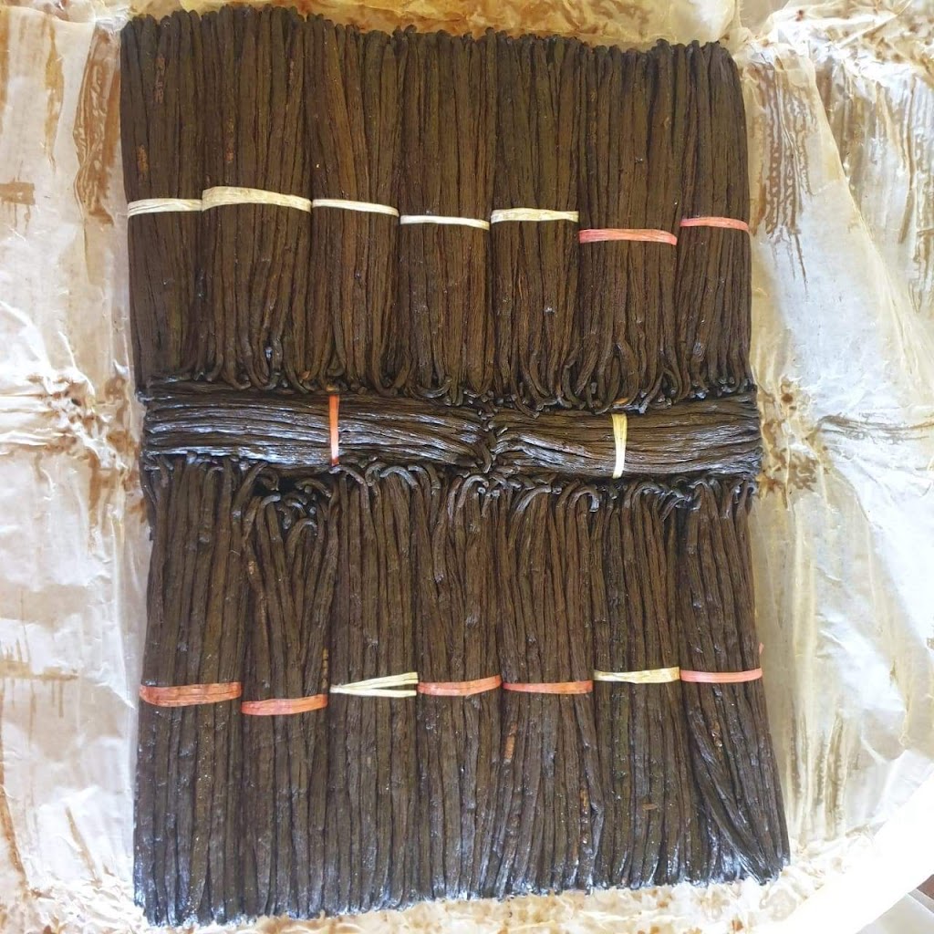 mb vanilla bean | 902 Wayoata St, Winnipeg, MB R2C 3M7, Canada | Phone: (204) 930-2806