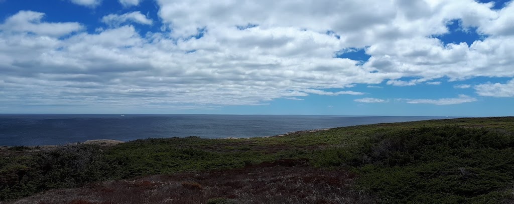 Edge of Avalon Interpretation Centre | NL-10, Portugal Cove South, NL A0A 4B0, Canada | Phone: (709) 438-1100