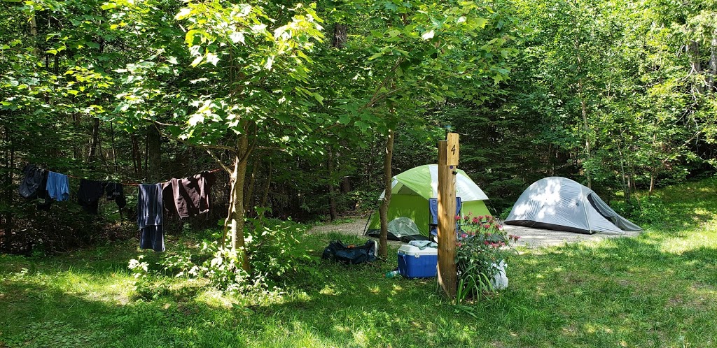 New Burke Camping Rentals, LLC | 23 Pinnacle Rd, West Burke, VT 05871, USA | Phone: (508) 330-9212