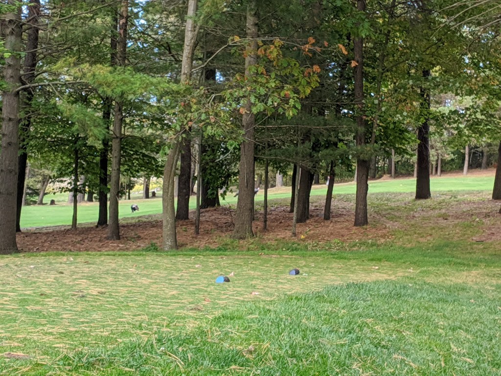 Black Diamond Golf Club | 705 Pontypool Rd, Pontypool, ON L0A 1K0, Canada | Phone: (705) 932-4653