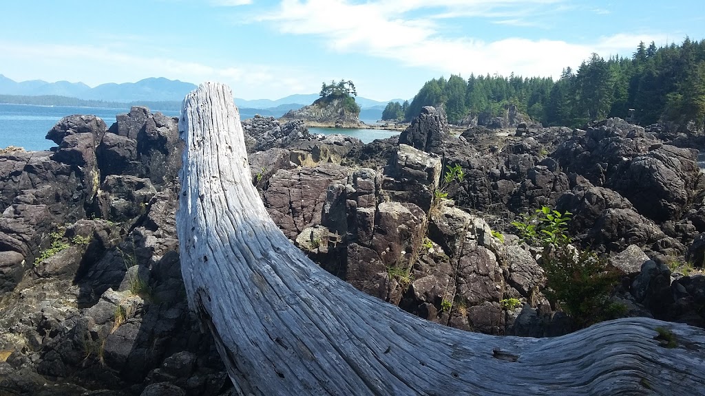 Upnit Lodge & Marina | 211 Nuthatch Rd, Bamfield, BC V0R 1B0, Canada | Phone: (250) 728-3228