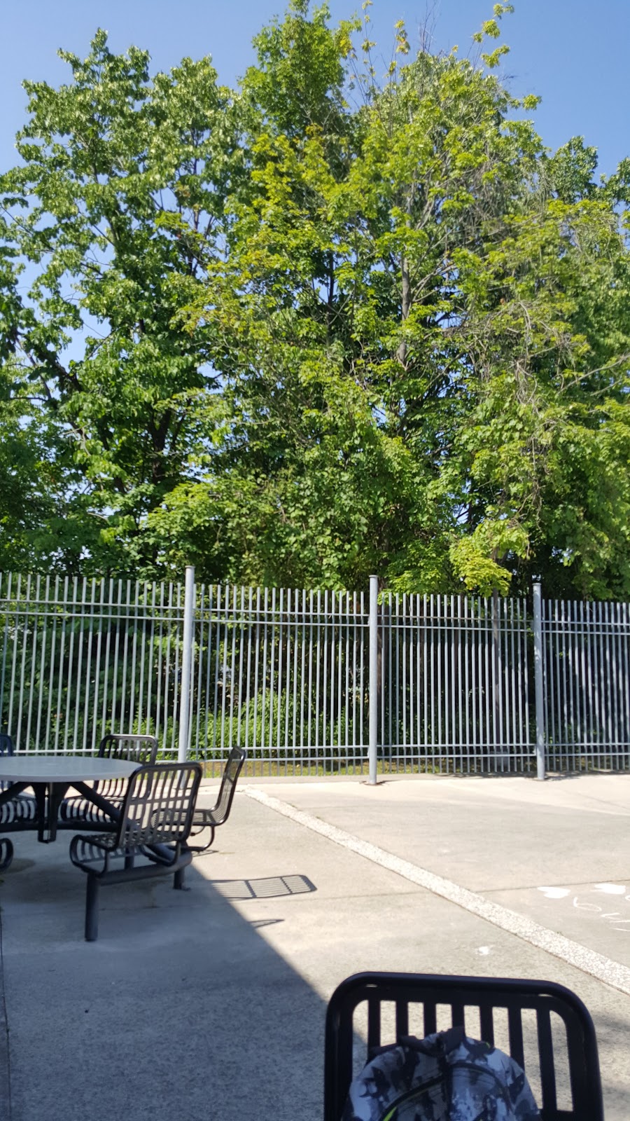 Heron Park | 292 Manse Rd, Scarborough, ON M1E 3V4, Canada | Phone: (416) 282-1322