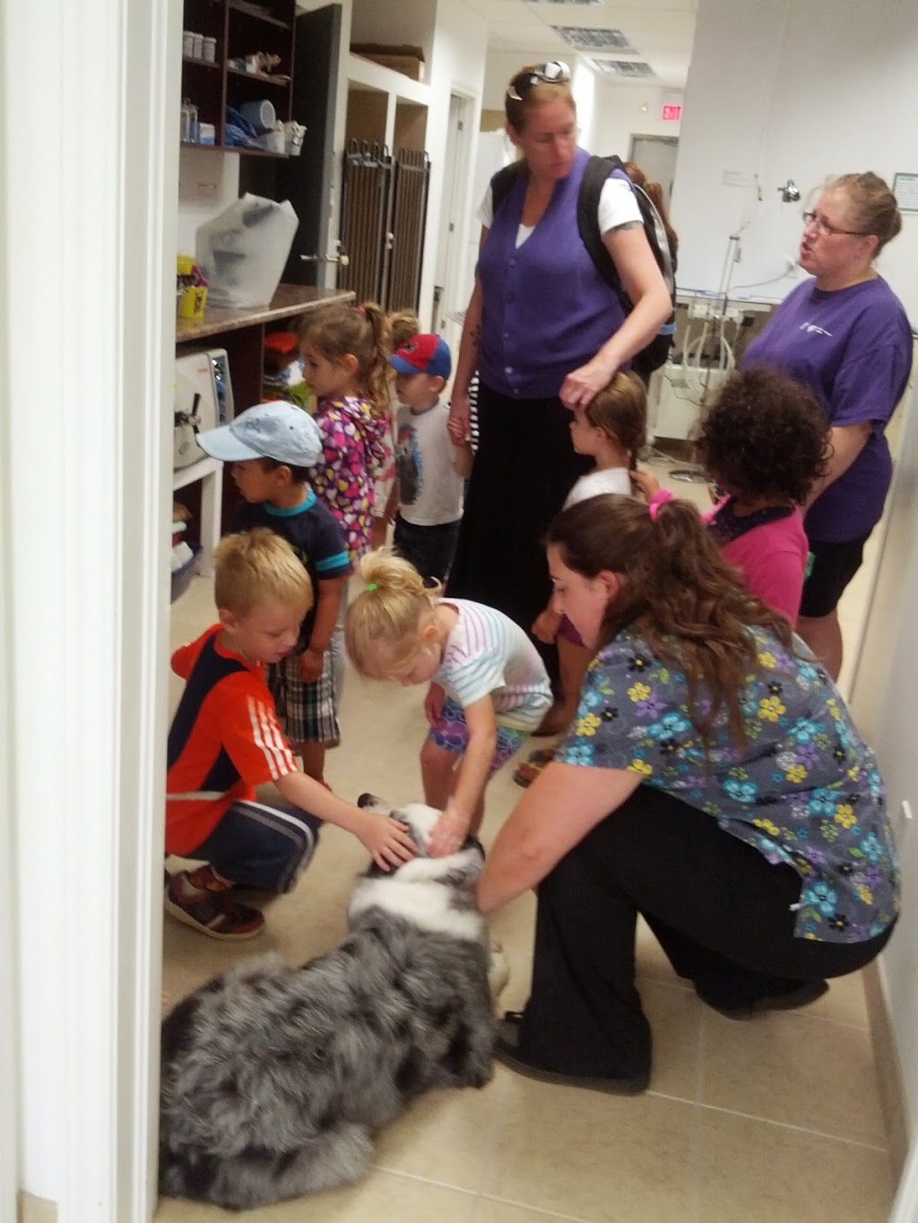 Stonegate Animal Hospital | 292 Stone Rd W, Guelph, ON N1G 4W4, Canada | Phone: (519) 265-7224