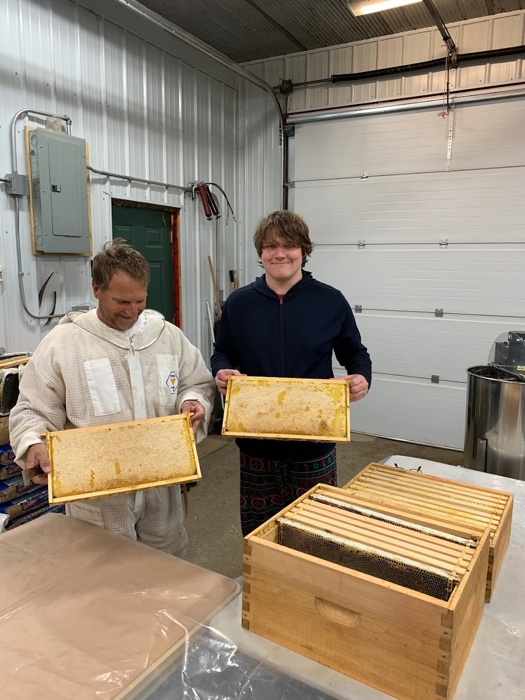Fielding Bees | 41803 Hydro Line Rd, Seaforth, ON N0K 1W0, Canada | Phone: (519) 525-8112