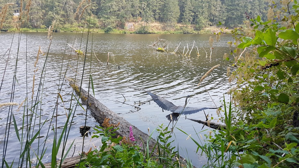 Hemer Provincial Park | Hwy 1, Nanaimo, BC V9X 1J3, Canada | Phone: (250) 474-1336