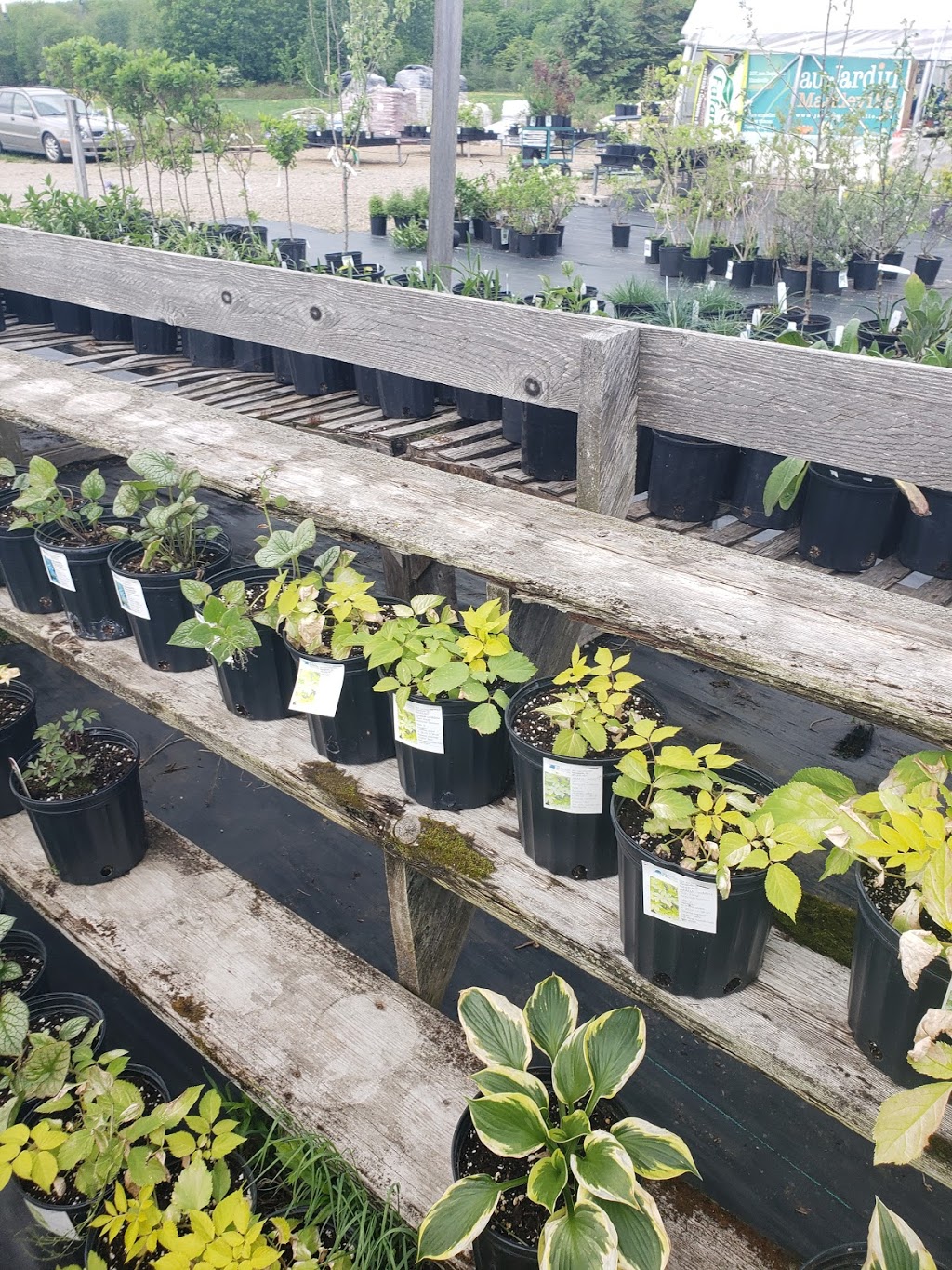 Au jardin Mandeville | 507 Rue Desjardins, Mandeville, QC J0K 1L0, Canada | Phone: (450) 835-4627