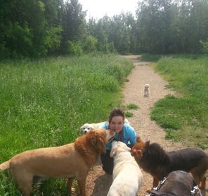 Pampered Paws Dog Walking | 3626 107 Ave, Edmonton, AB T5W 0E2, Canada | Phone: (780) 908-6780