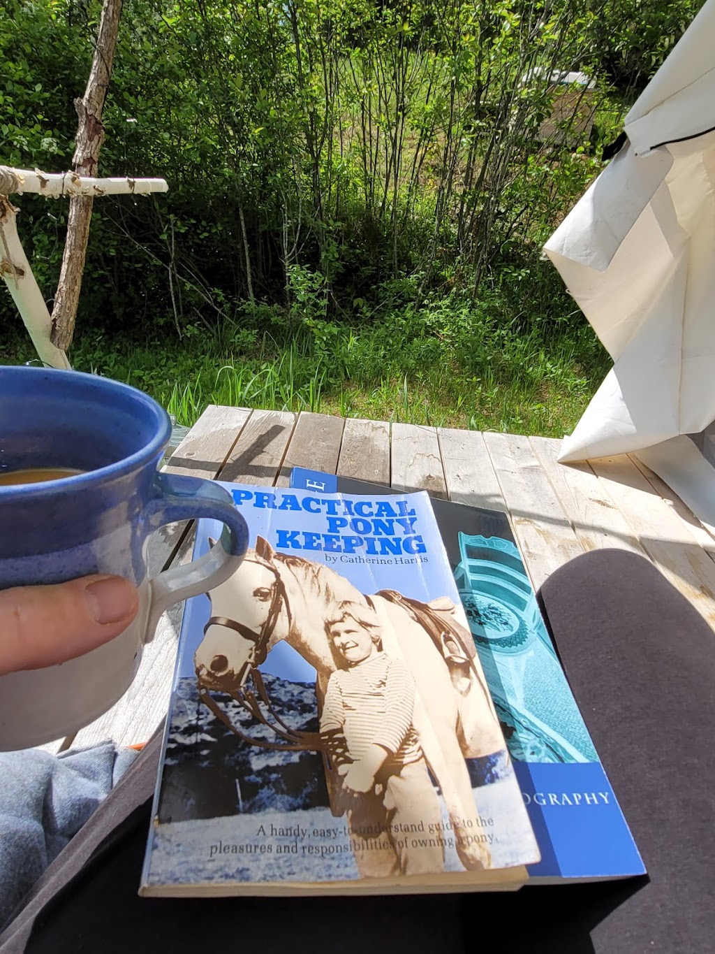 Madawaska Valley Retreat | 1661 Lower Craigmont Rd, Combermere, ON K0J 1L0, Canada | Phone: (416) 986-3429