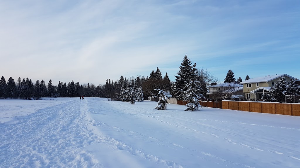 Malboro Off-leash Park | 49 Marlboro Dr, Spruce Grove, AB T7X 2L5, Canada | Phone: (780) 962-2031