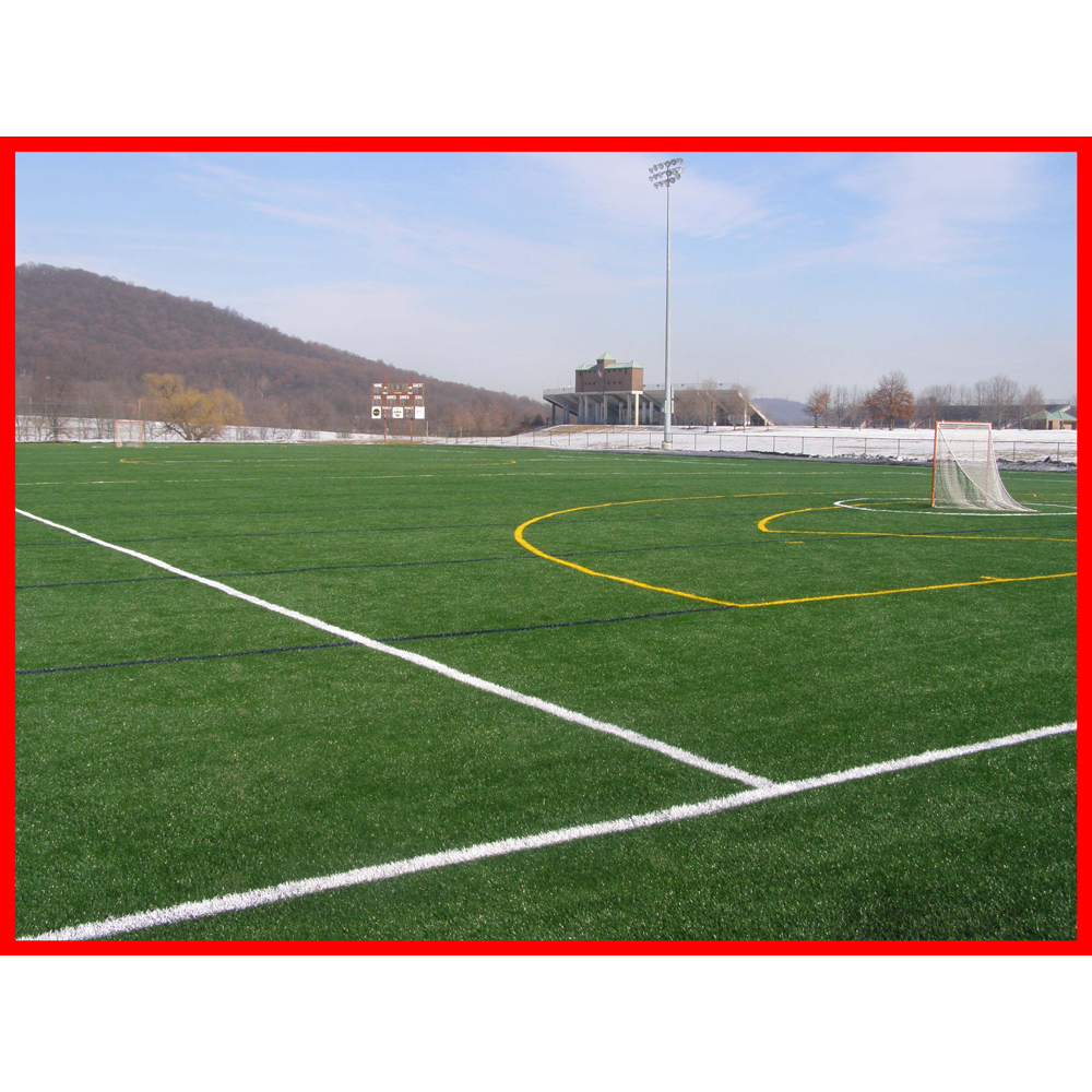 Lacrosse Experts | 931 Brunette Ave h, Coquitlam, BC V3K 1R1, Canada | Phone: (604) 553-0036