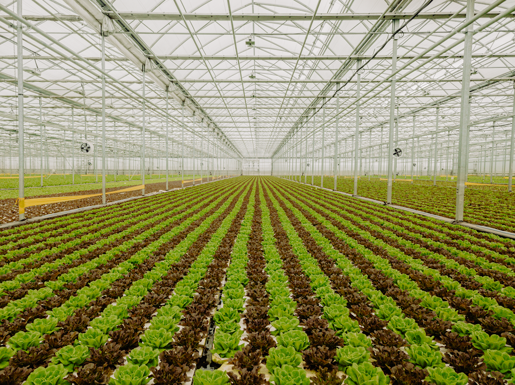Hydroserre Mirabel | 9200 Rue Desvoyaux, Mirabel, QC J7N 2H4, Canada | Phone: (450) 475-7924