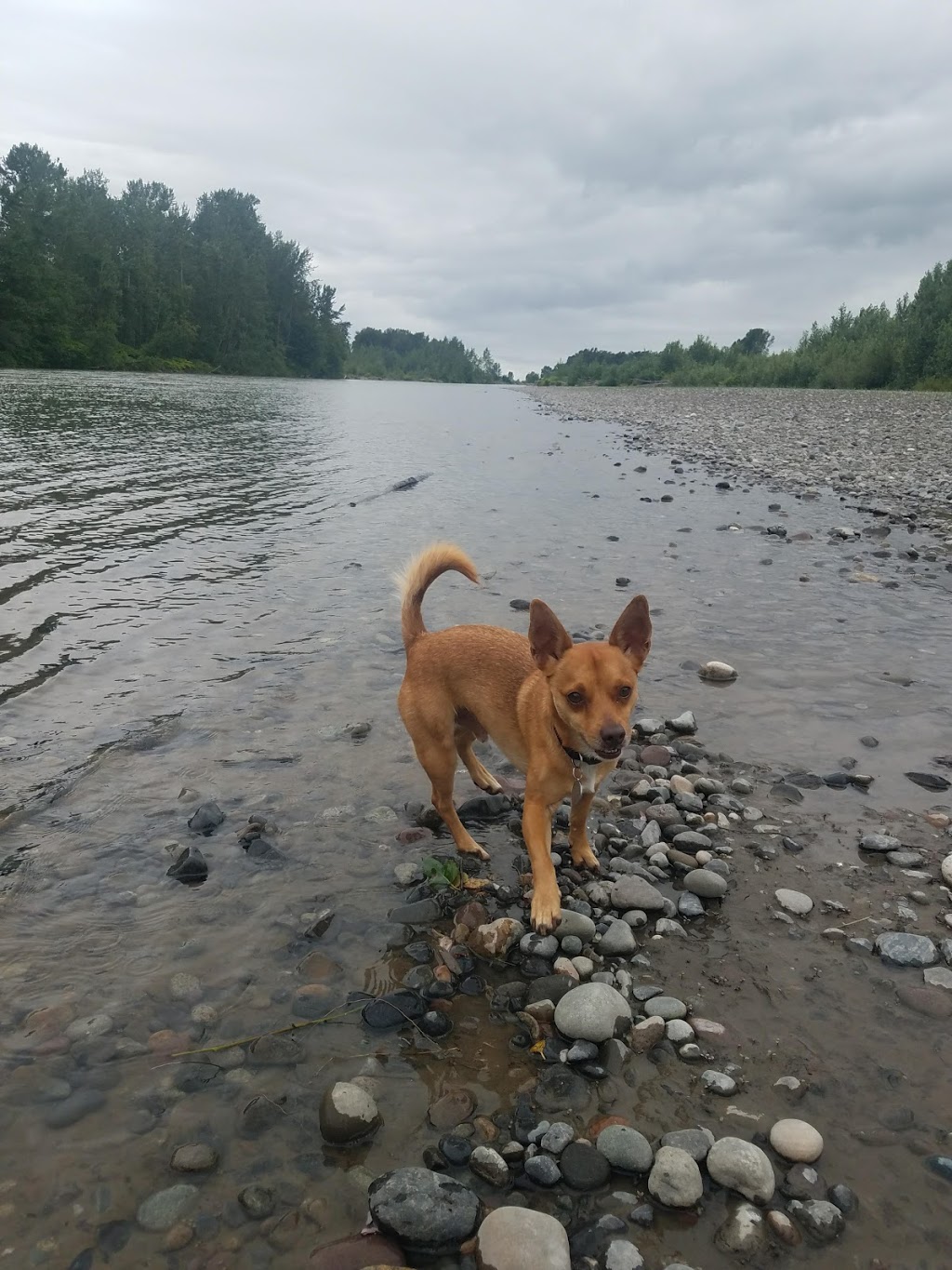 Riverside Park | 401 Park Dr, Everson, WA 98247, USA