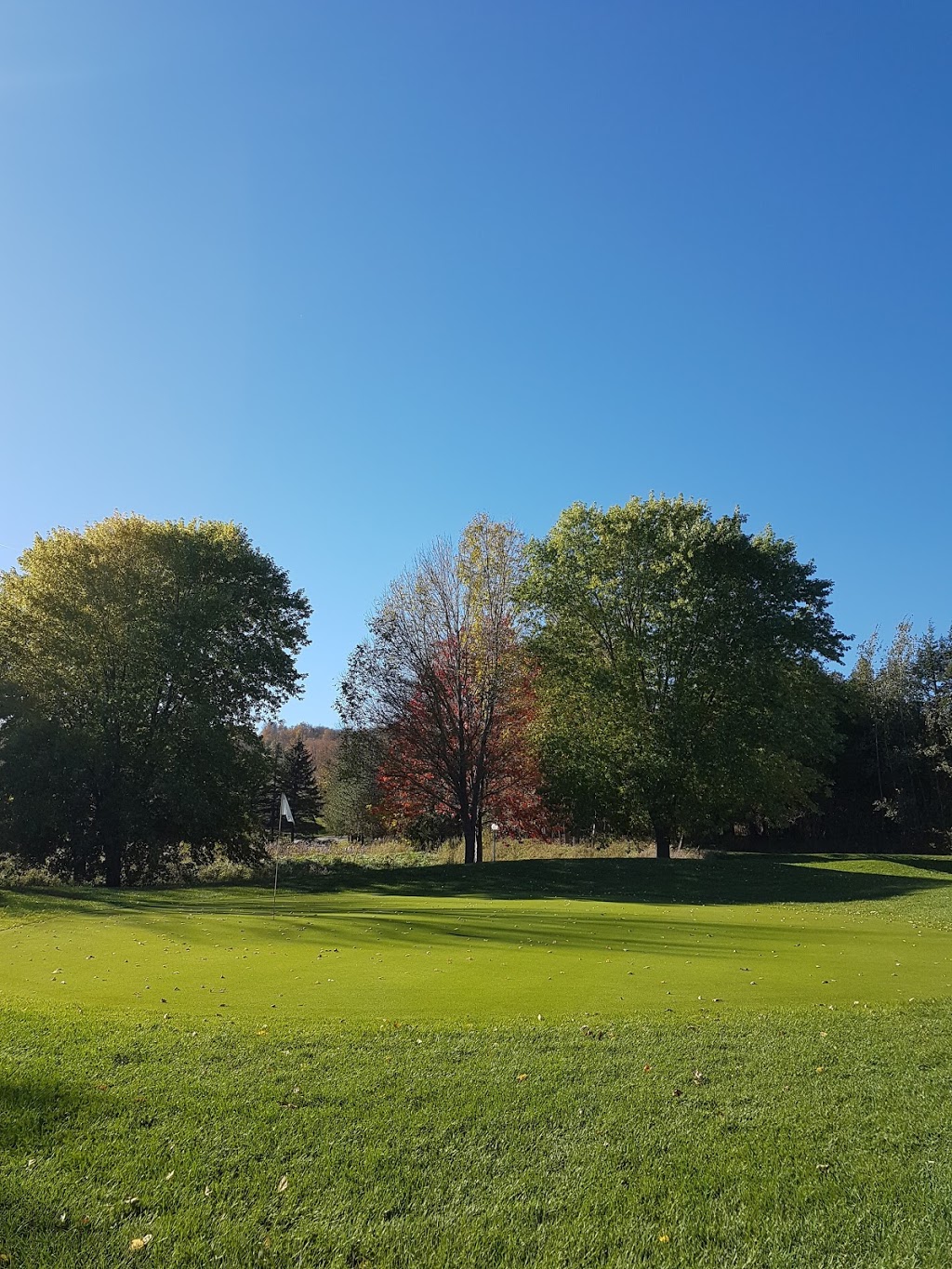 Talisman Mountain Springs Inn and Golf | 150 Talisman Mountain Dr, Kimberley, ON N0C 1G0, Canada | Phone: (226) 910-1395