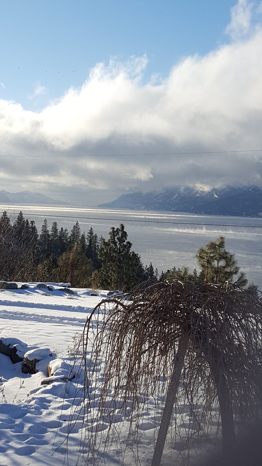 Barkley Boarding Kennels | 14451 Barkley Rd, Lake Country, BC V4V 1A4, Canada | Phone: (250) 766-1226