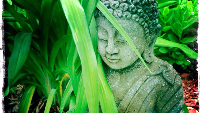 Nancy Beauregard - Acupuncture | 858 Rue Shefford et 52 Rue Centre Bromont et, Granby, QC J2L 1C3, Canada | Phone: (579) 488-0748