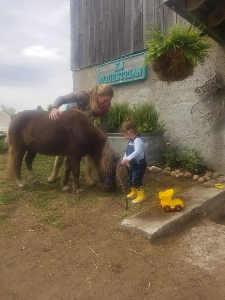 KJ Equestrian | 1326 Barkway Rd, Gravenhurst, ON P1P 1R3, Canada | Phone: (705) 645-7073